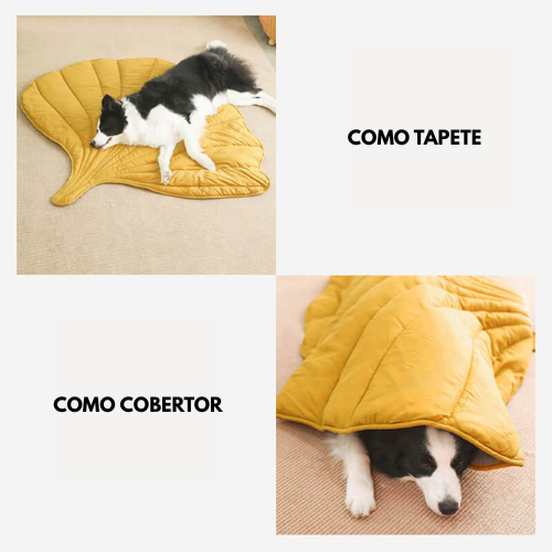 Caminha Folha Aconchego™ + 2 Brindes Incríveis