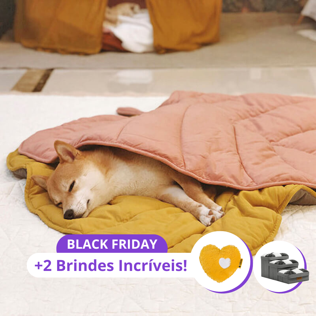 Caminha Folha Aconchego™ + 2 Brindes Incríveis